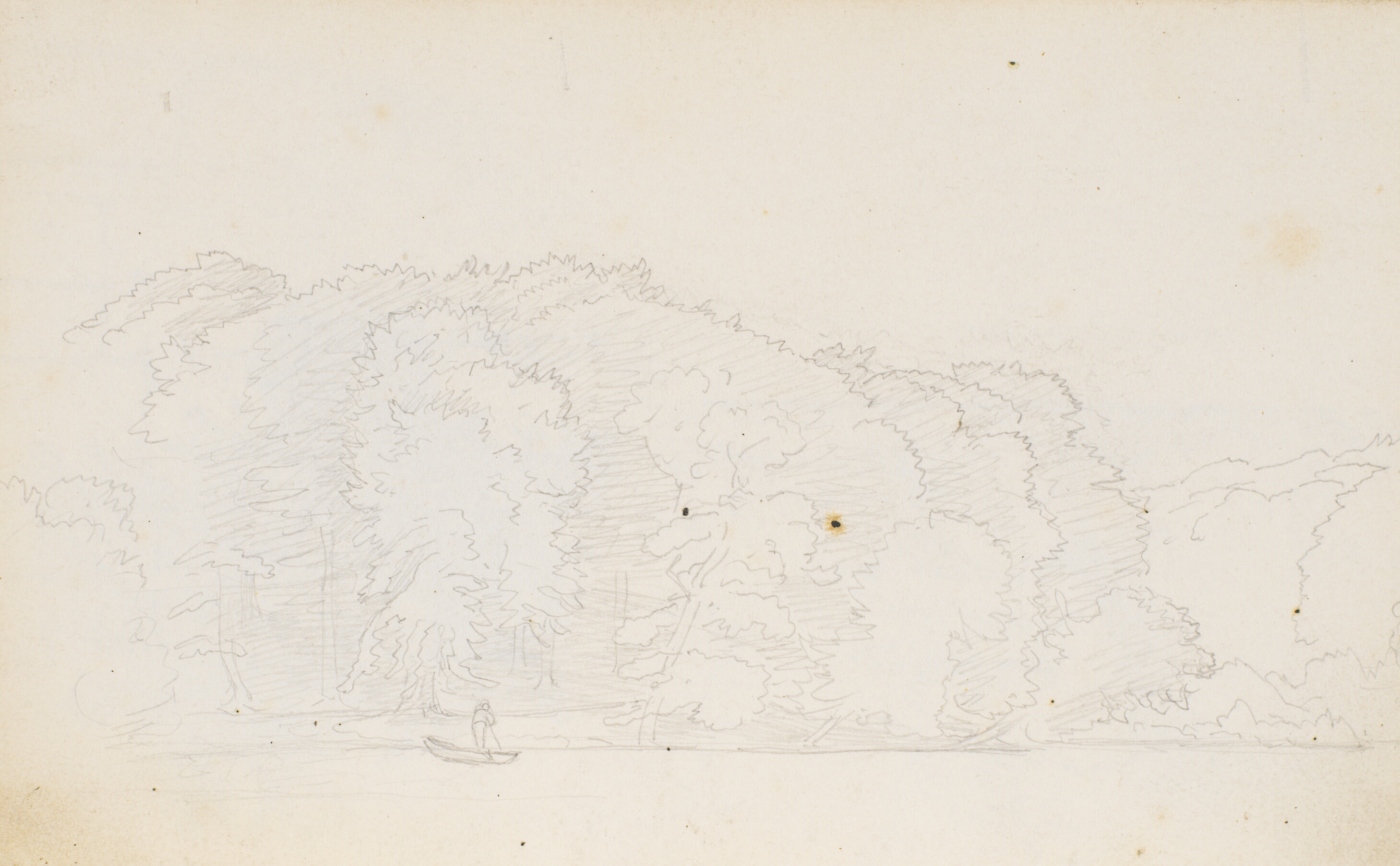 Skovparti ved en sø